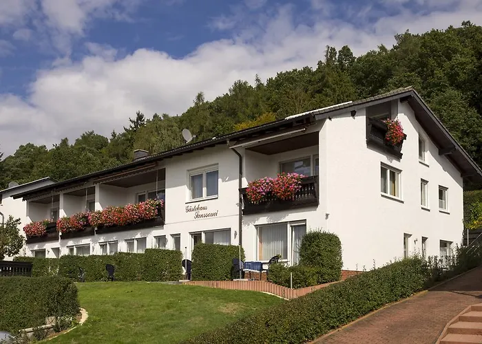 Gaestehaus Sanssouci 3* Bad Wildungen